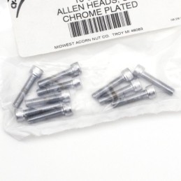 Assortiment de vis allen chromee 233309