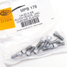 Assortiment de vis allen chromee crenelee 233324