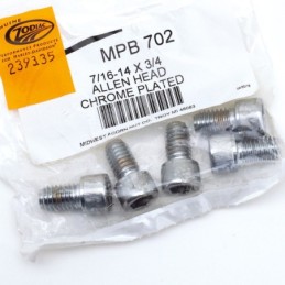 Assortiment de vis chromees a tête allen 239335
