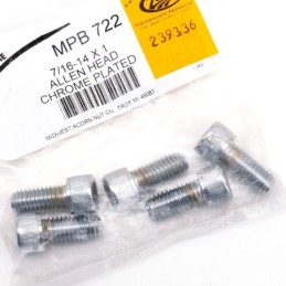 Assortiment de vis chromees a tête allen 239336