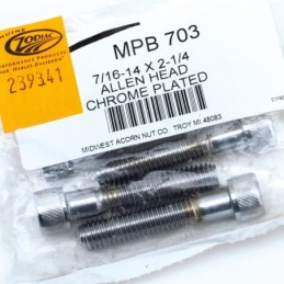 Assortiment de vis chromees a tête allen 239341