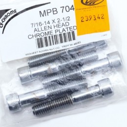Assortiment de vis chromees a tête allen 239342
