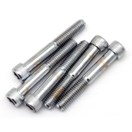 Assortiment de vis chromees a tête allen 239344