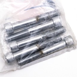Assortiment de vis chromees a tête allen unf 239364