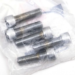 Assortiment de vis chromees a tête allen unf 239368