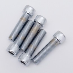 Assortiment de vis chromees a tête allen unf 239369