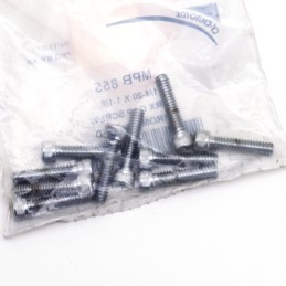 Assortiment de vis torx chromee 239933
