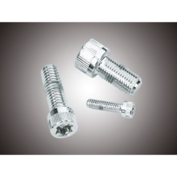 Assortiment de vis torx chromee 239935