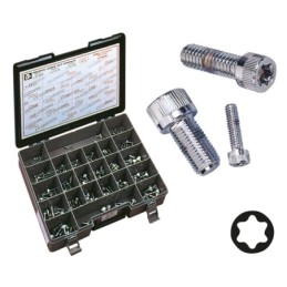 Assortiment de vis torx chromee 239936