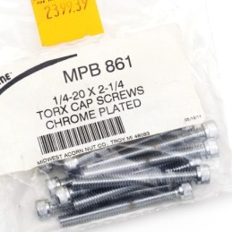 Assortiment de vis torx chromee 239939