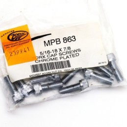 Assortiment de vis torx chromee 239941