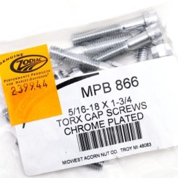 Assortiment de vis torx chromee 239944
