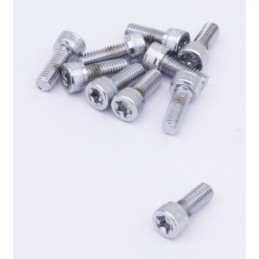 Assortiment de vis torx chromees 238292