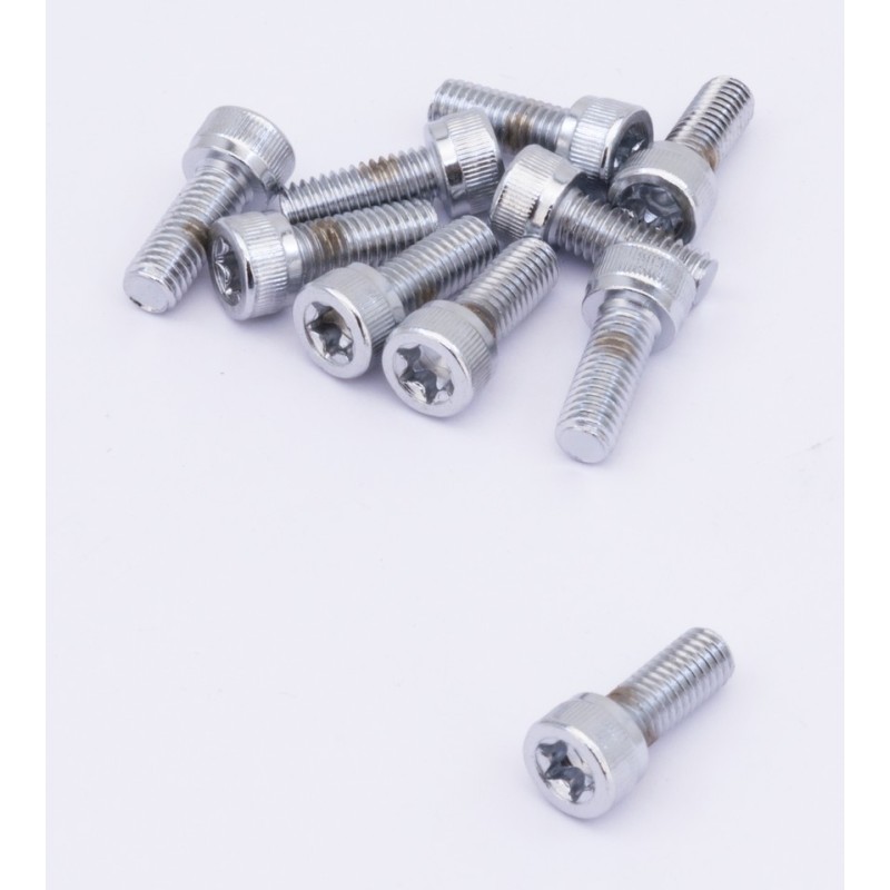 Assortiment de vis torx chromees 238292
