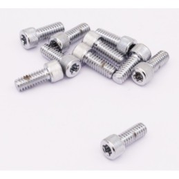 Assortiment de vis torx chromees 238295
