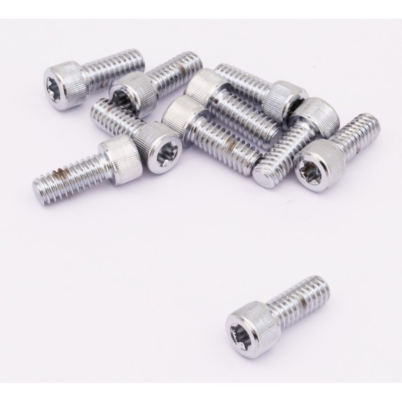 Assortiment de vis torx chromees 238295