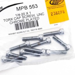Assortiment de vis torx chromees 238298