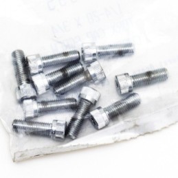 Assortiment de vis torx chromees 238700