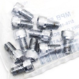 Assortiment de vis torx chromees 238702