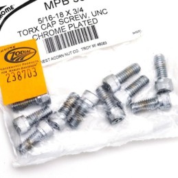 Assortiment de vis torx chromees 238703