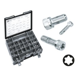 Assortiment de vis torx chromees 238705