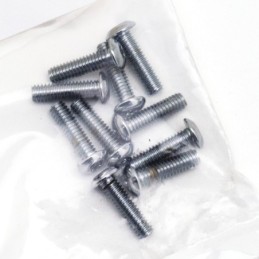 Assortiment de vis torx tete bouton chromees 239948