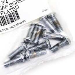 Assortiment de vis torx tete bouton chromees 239953