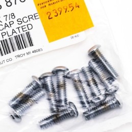 Assortiment de vis torx tete bouton chromees 239954