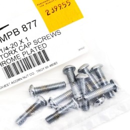 Assortiment de vis torx tete bouton chromees 239955