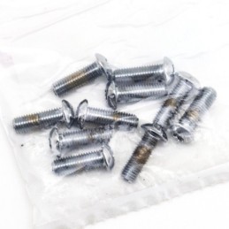 Assortiment de vis torx tete bouton chromees 239958