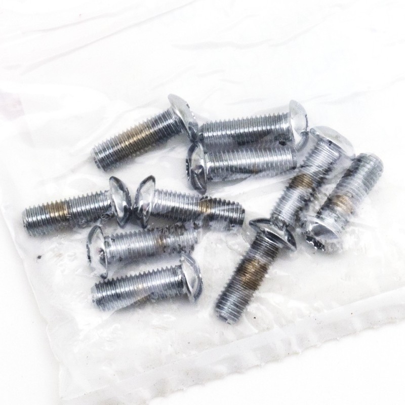 Assortiment de vis torx tete bouton chromees 239958