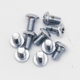 Assortiment de vis torx tete bouton chromees 239965