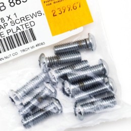Assortiment de vis torx tete bouton chromees 239967