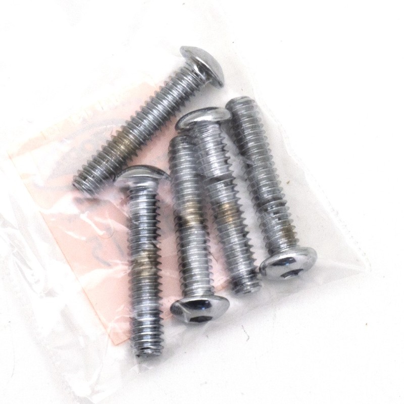 Boite d'assortiment de vis allen chromees a tête bouton large 239915
