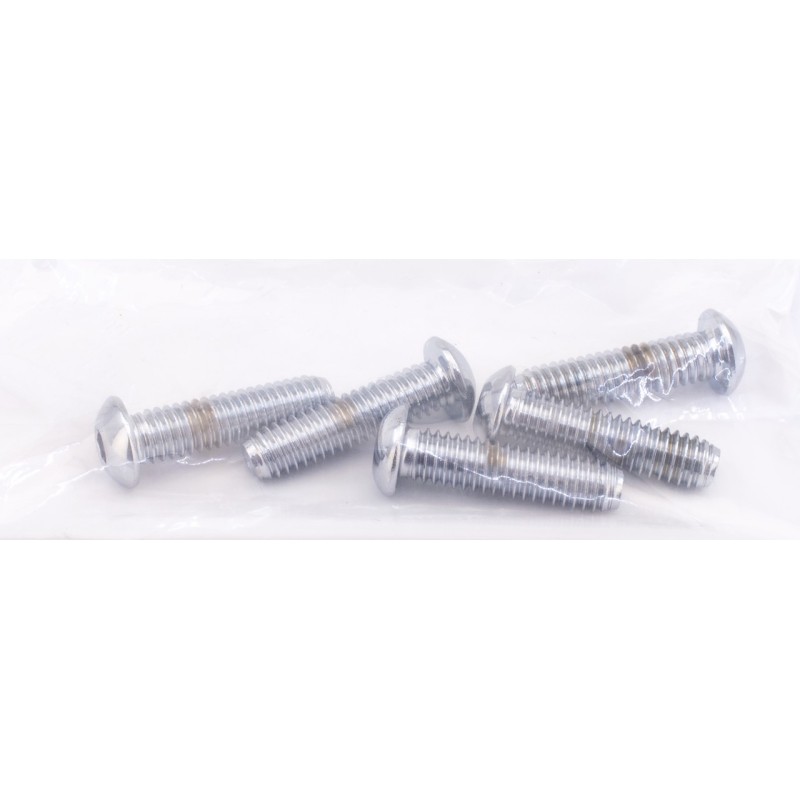 Boite d'assortiment de vis allen chromees a tête bouton large 239920