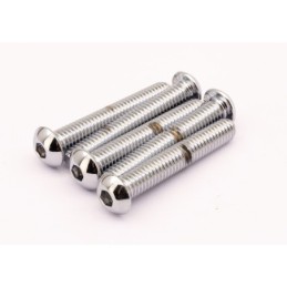 Boite d'assortiment de vis allen chromees a tête bouton large 239922