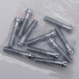 Boite d'assortisement de boulons a 12 points chromes 238285
