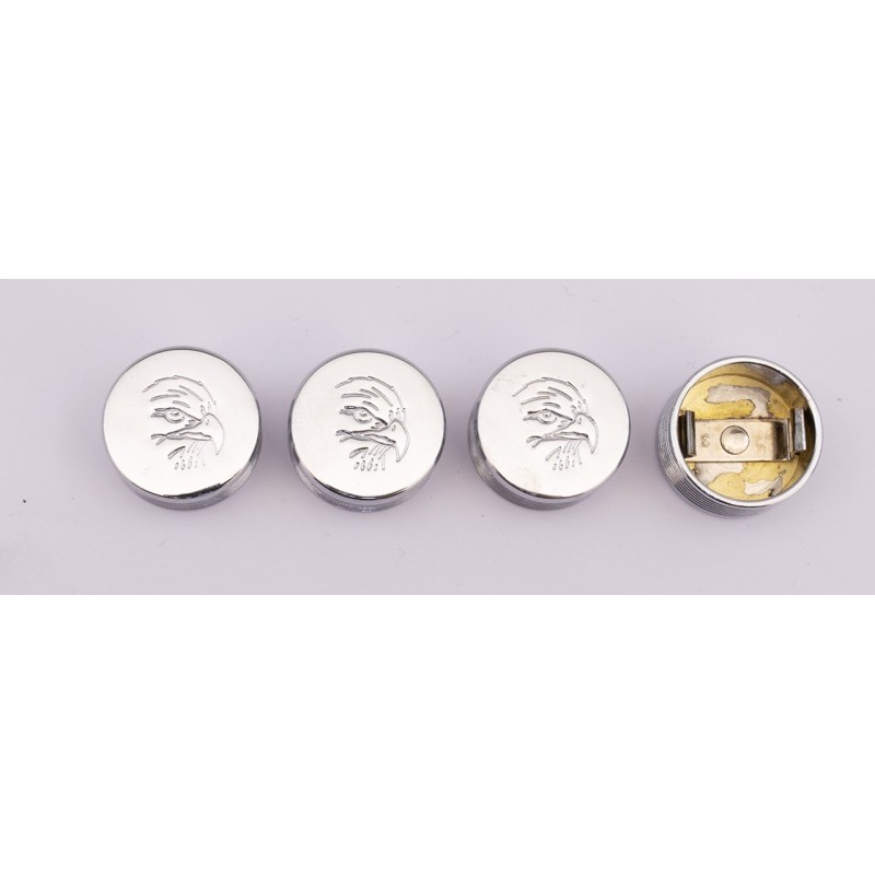 Caches boulons chromes pour tetes 6 pans, allen et bouton 722596