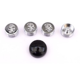 Caches boulons chromes pour tetes 6 pans, allen et bouton 722619