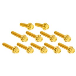 Kits de vis 12 points titane pour couvercle de cames et allumage A300934