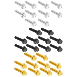 Kits de vis 12 points titane pour couvercle de cames et allumage A300986