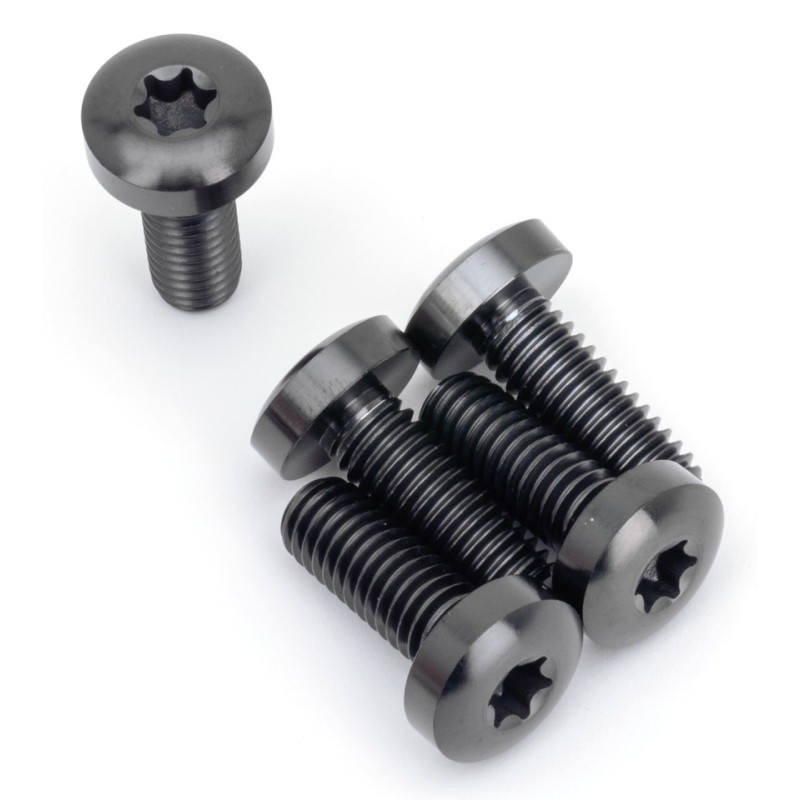 Kits de vis de fixation de disque pour 2015-2020 xg street 770461