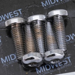 Kits de vis de fixation de disque pour sportster 239911