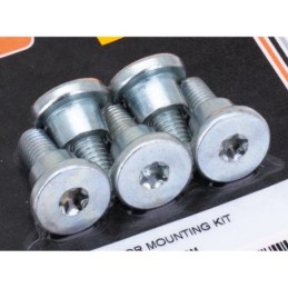 Kits de vis de fixation de disque pour v-rod 780174