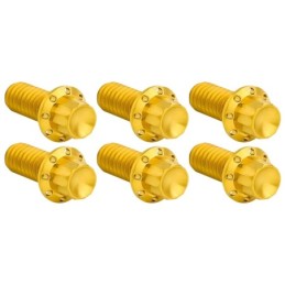 Kits de vis titane 12 pans de couvercle d'embrayage A300925