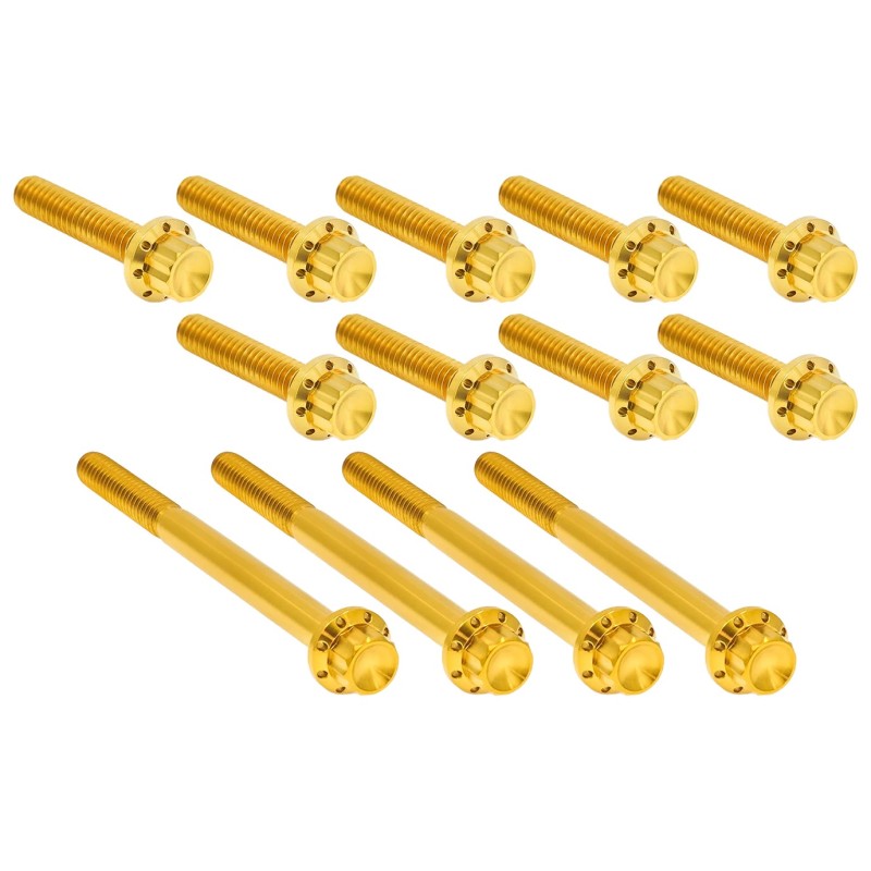 Kits de vis titane 12 points pour couvercle primaire A300991
