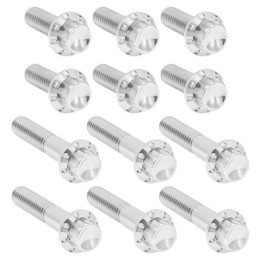 Kits de vis titane à 12 points pour couvercle de cabanes A300992