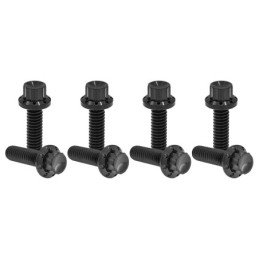 Kits vis titane 12 points pour bloc de poussoirs A300936