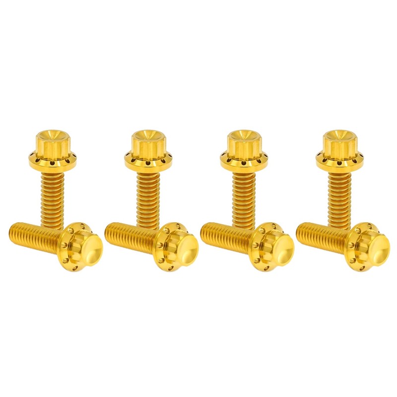 Kits vis titane 12 points pour bloc de poussoirs A300937
