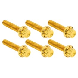 Kits vis titane 12 points pour couvercle lateral de boite et trappe A300702
